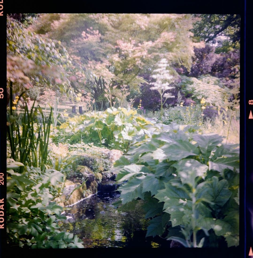 翠庭園