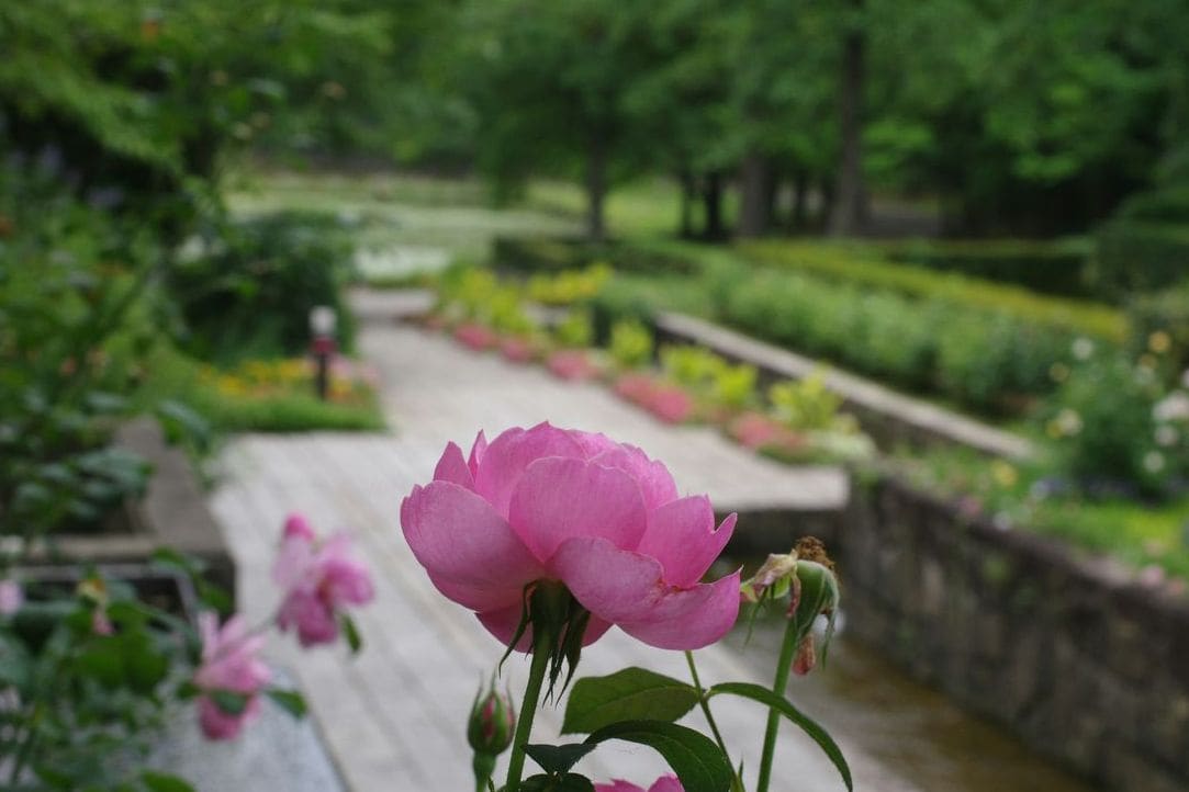 翠庭園 4